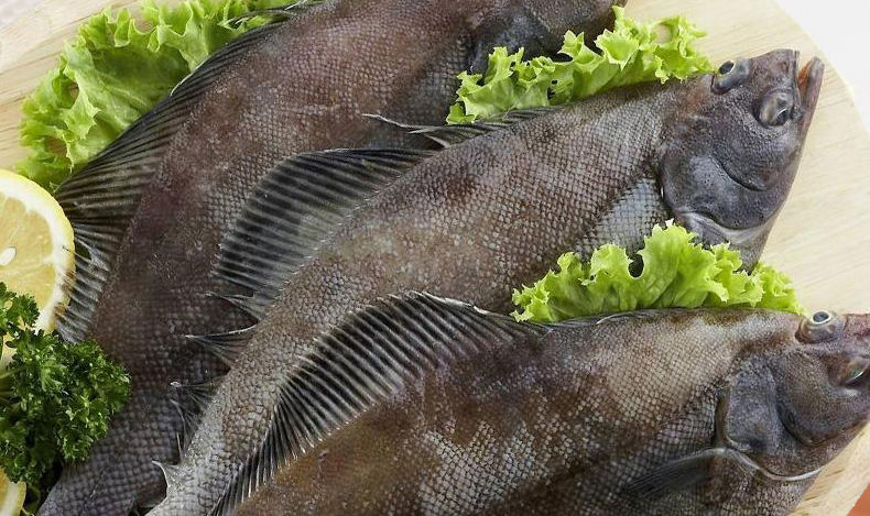 鲽鱼整条比目鱼带头去脏鸦片鱼深海鲽鱼新鲜鲽鱼冷冻水产4两8两条共四