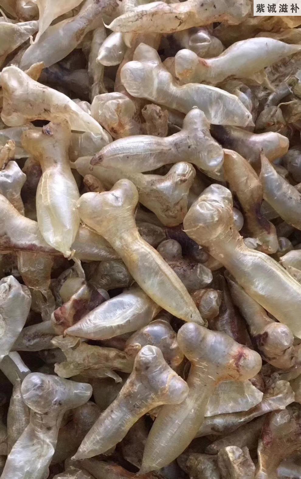 杞里香 印尼蜘蛛胶公肚真鱼胶野生正宗花胶马来西亚名贵水产干货滋补