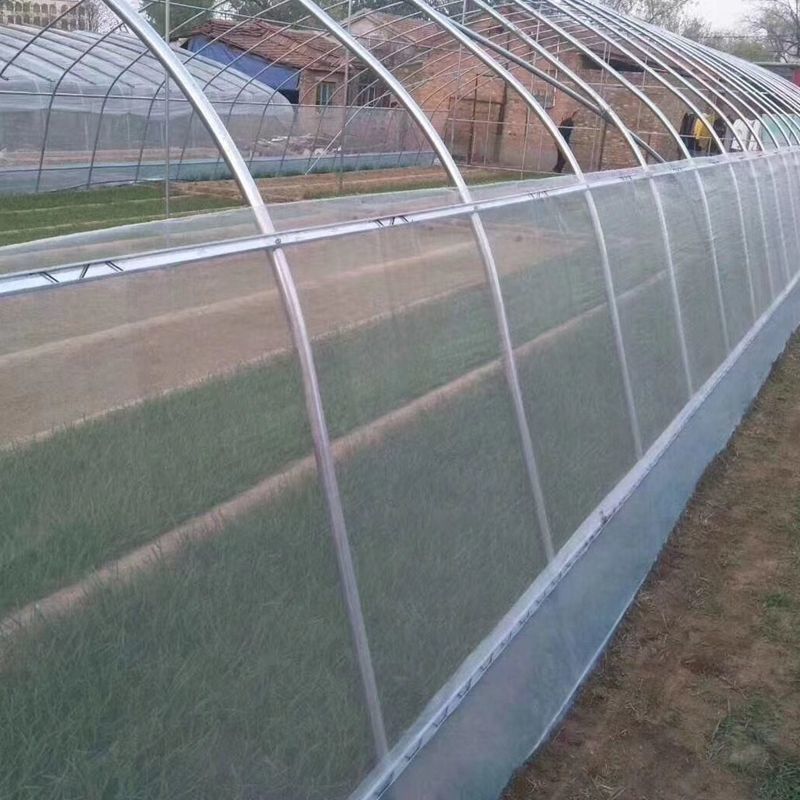 防虫网纱网目数齐大棚果树蔬菜网防柳絮棉养殖池塘围网白色聚乙烯 60