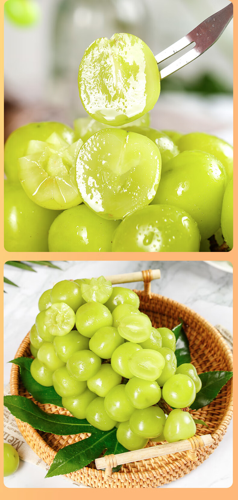 晴王葡萄阳光玫瑰新鲜当季水果无籽香印青提子 蓝色海洋礼盒装 单粒15