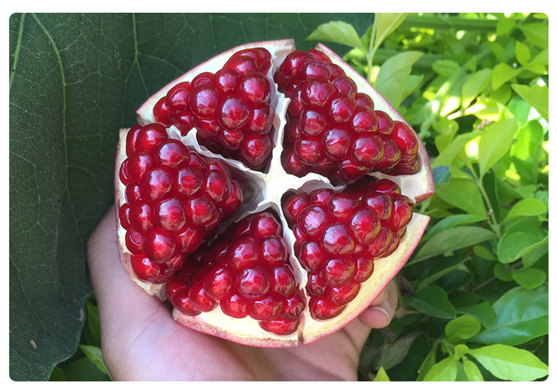 媚调攀枝花酸石榴新鲜黑籽鲜石榴超大突尼斯软籽建水特酸石榴 9斤装