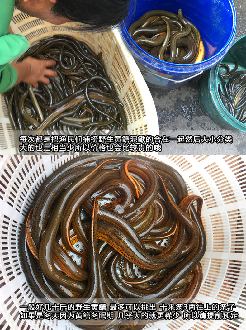 0kg店铺:莫尔加德生鲜官方旗舰店商品编号:10032680319185商品名称