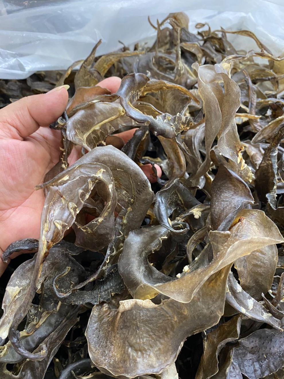 90头甲鱼裙边干水鱼边王八裙边龟裙边乌龟边龟板胶250g