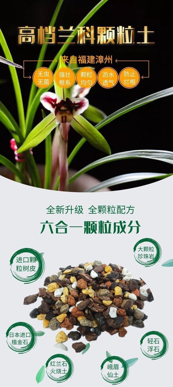 兰花植料兰花全颗粒配方专用土大袋兰科颗粒土质料君子兰蝴蝶兰植料