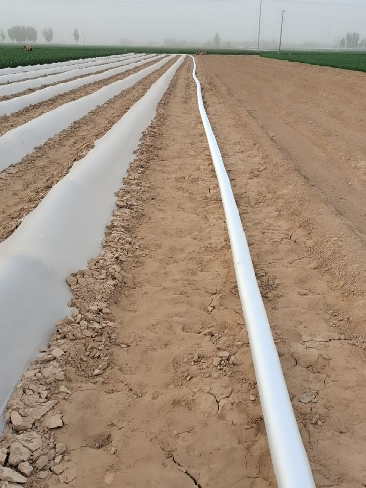 水管防冻农用浇地水带高分子编织消防水带工地帆布水管耐磨园林浇水管