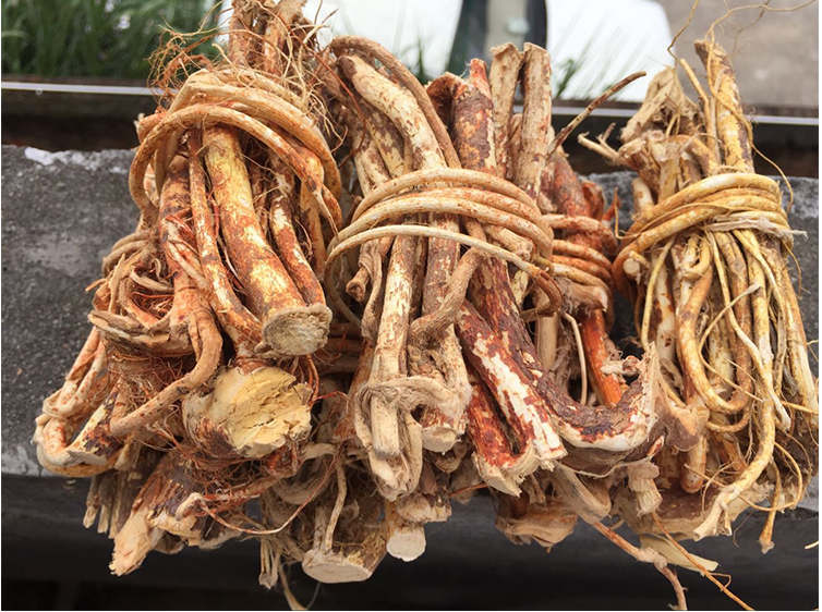 【官方旗舰】五指毛桃根广东河源特产五爪龙七指毛桃无硫椰奶味煲汤料