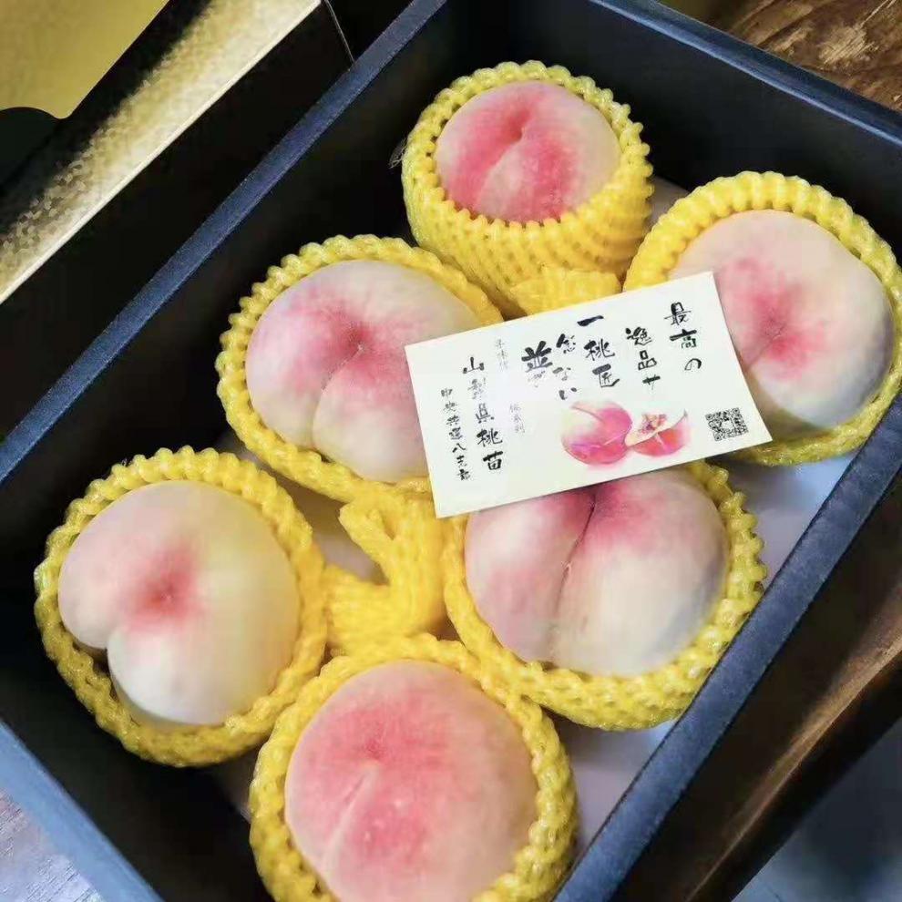 阳山水蜜桃高端礼盒 一桃匠阳山水蜜桃6颗礼盒装新鲜