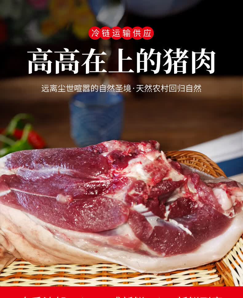 藏香猪原生态正宗土猪跑山散养新鲜前后腿肉排骨 精