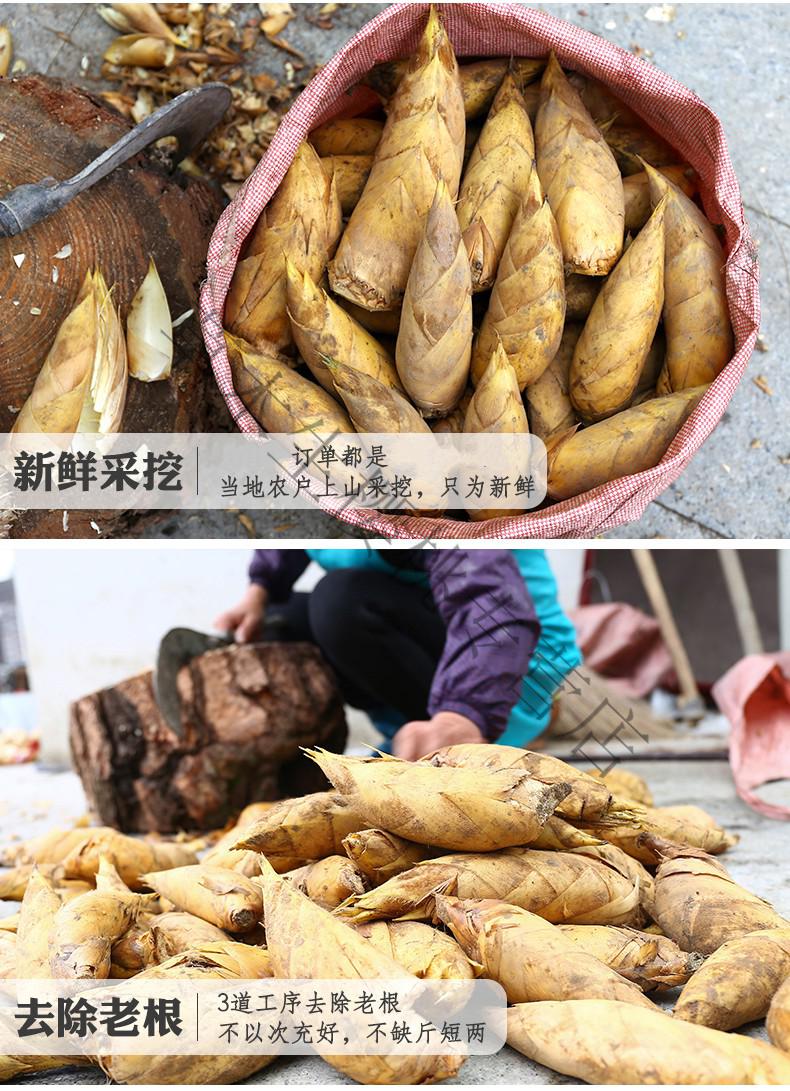 fghgh新鲜冬笋现货浙江临安天目山毛竹笋春笋正宗鲜笋黄泥笋3斤