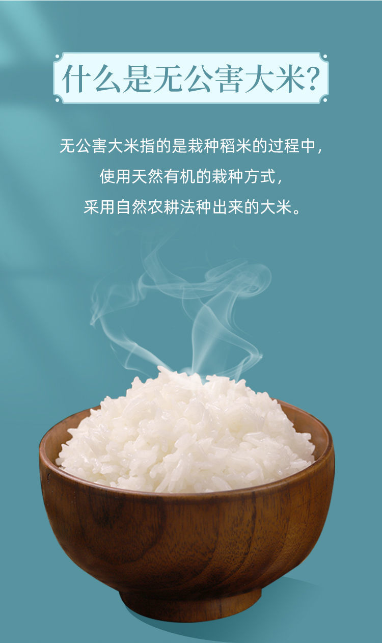 花中花长粒香米 5kg/10斤 花中花 无公害香米 当季新米 生态大米 10斤