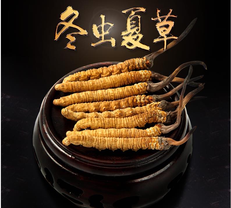 藏区直发冬虫夏草野生正宗干虫草3条g礼盒西藏那曲新货4根克2克装共8