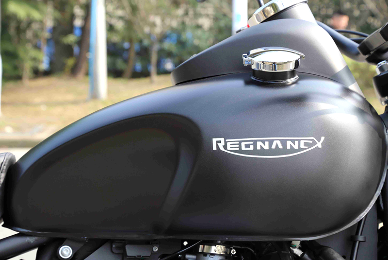 2021年雷卡迪雷克rx3复古太子摩托车巡航车250双缸v缸电喷整车可上牌