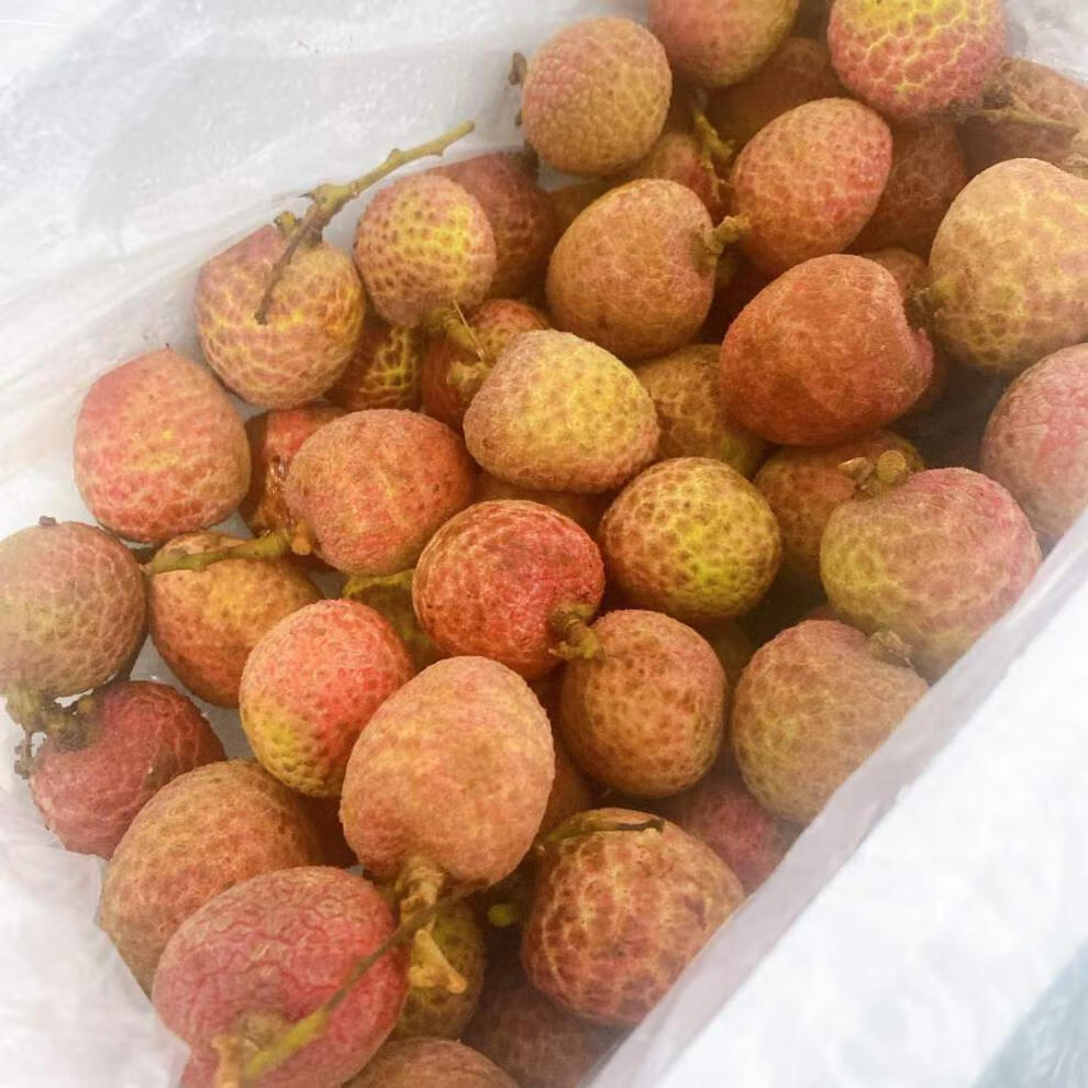 青樱红荔顺丰速运海南老树桂花香荔枝海南新鲜水果应季现摘