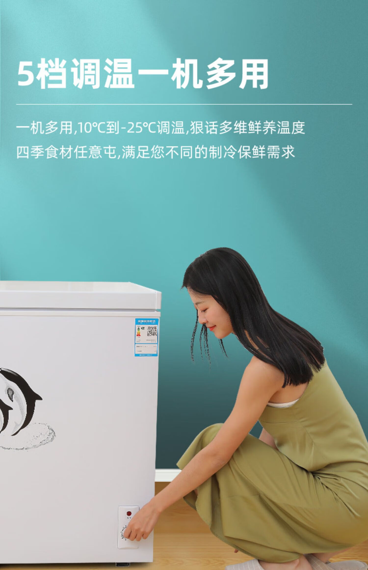 荣事达小冰柜家用小型商用大容量全冷冻冰箱迷你节能无霜速冻冷柜 228