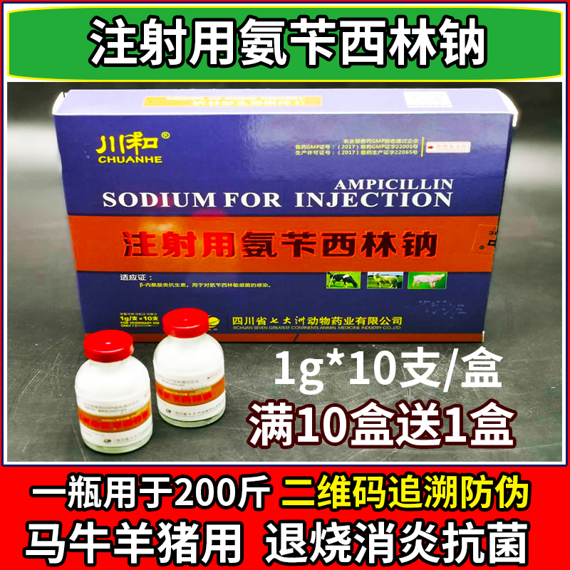 注射用氨苄西林鈉 獸藥豬牛羊產後消炎 豬丹毒高熱退燒頭孢噻呋鈉