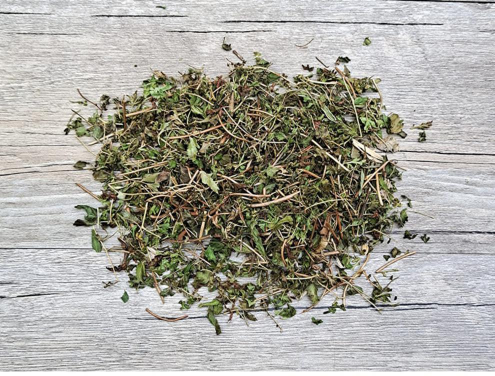 海金沙草500克海金沙藤生野新鲜中药材店铺虾蟆藤中草药大全