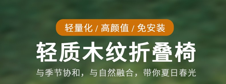 奥伦福特  户外折叠椅便携式沙滩椅野餐露营靠背椅写生椅便携式院子休闲椅子 中号克米特-卡其色