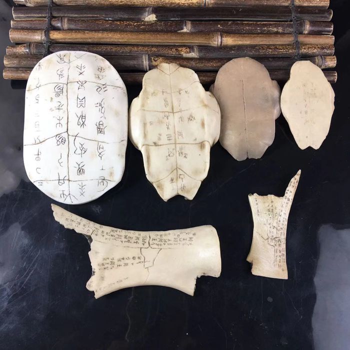 仿甲骨文龟壳 古代文字仿古甲骨文摆件树脂工艺品影视道具教学用品