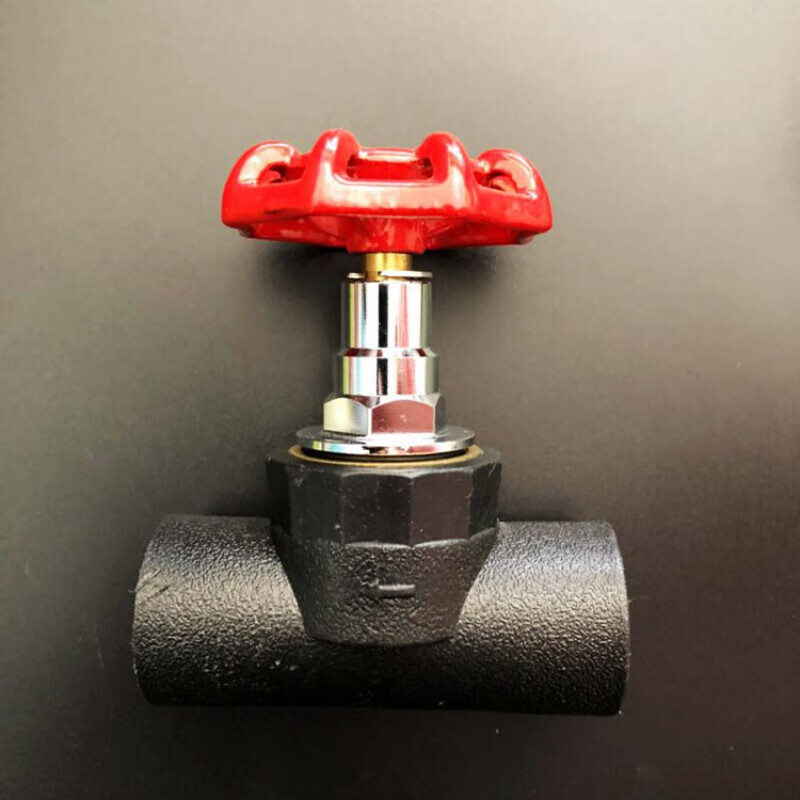 ppr截止阀pe截止阀升降式截止阀ppr闸阀阀门204分25水管管材管件 伟星