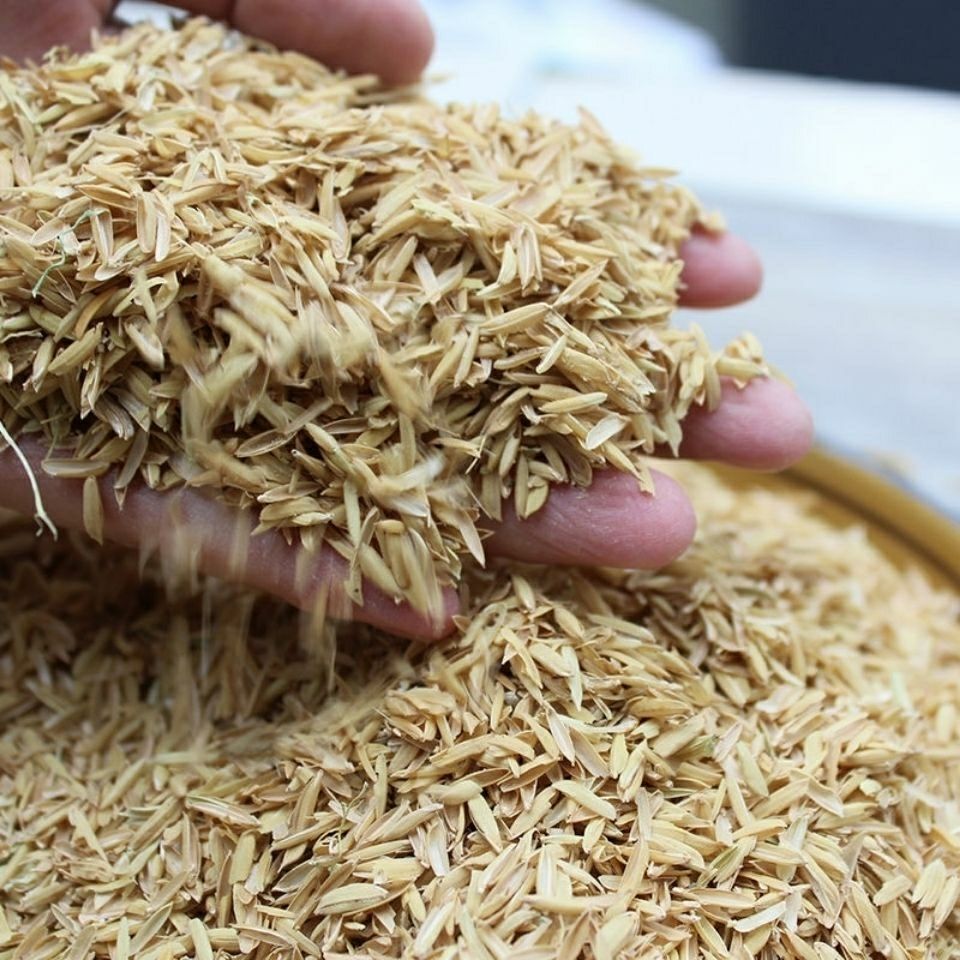 稻壳谷物壳空稻谷壳10斤农村新磨稻谷壳酿酒垫料填充枕头稻壳稻壳50斤