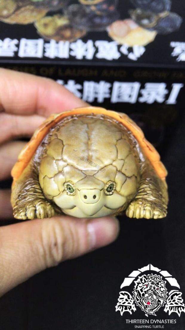 心宽体胖系列 动物星球心宽体胖系列白化鳄龟限量初版稀少现货 限定版