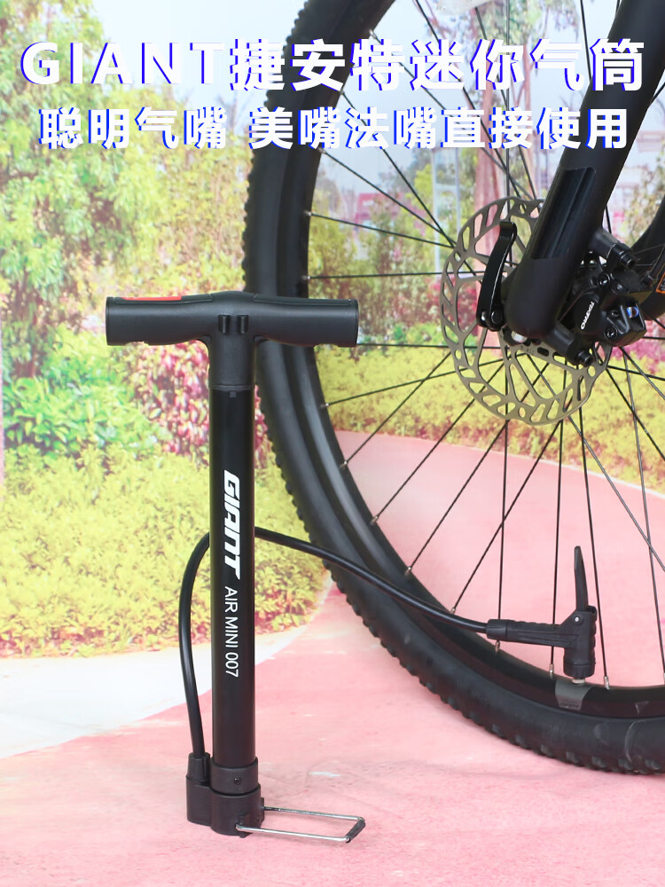 0289737e7de70c55.jpg