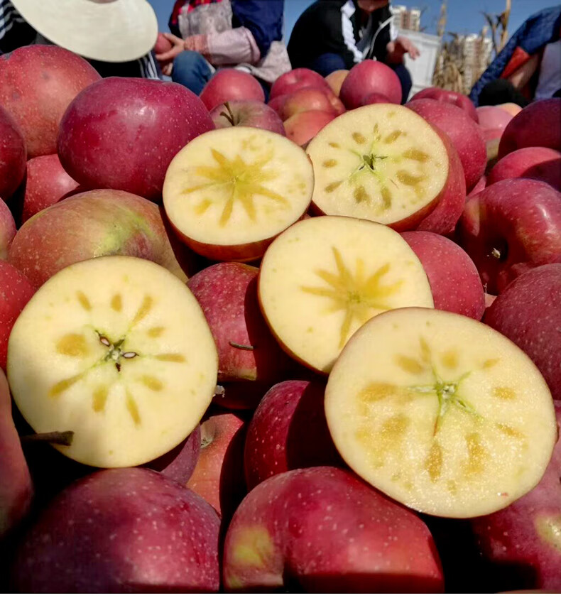 云南昭通丑苹果冰糖心大凉山苹果时令水果新鲜红富士应季整箱净重5斤
