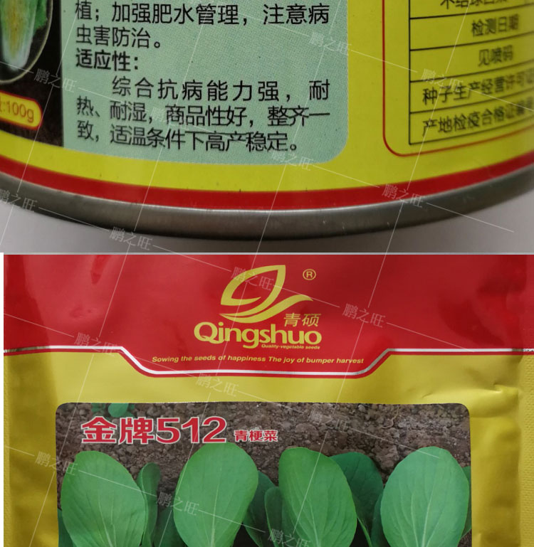 迈界速生快菜种子阳台小白菜籽盆栽奶白菜种孑春夏秋季绿叶蔬菜籽速生