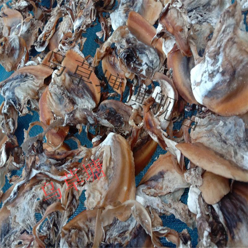 新鲜农家晒干河蚌肉干湖南邵阳土特产干贝壳肉河干货250g250克河蚌肉