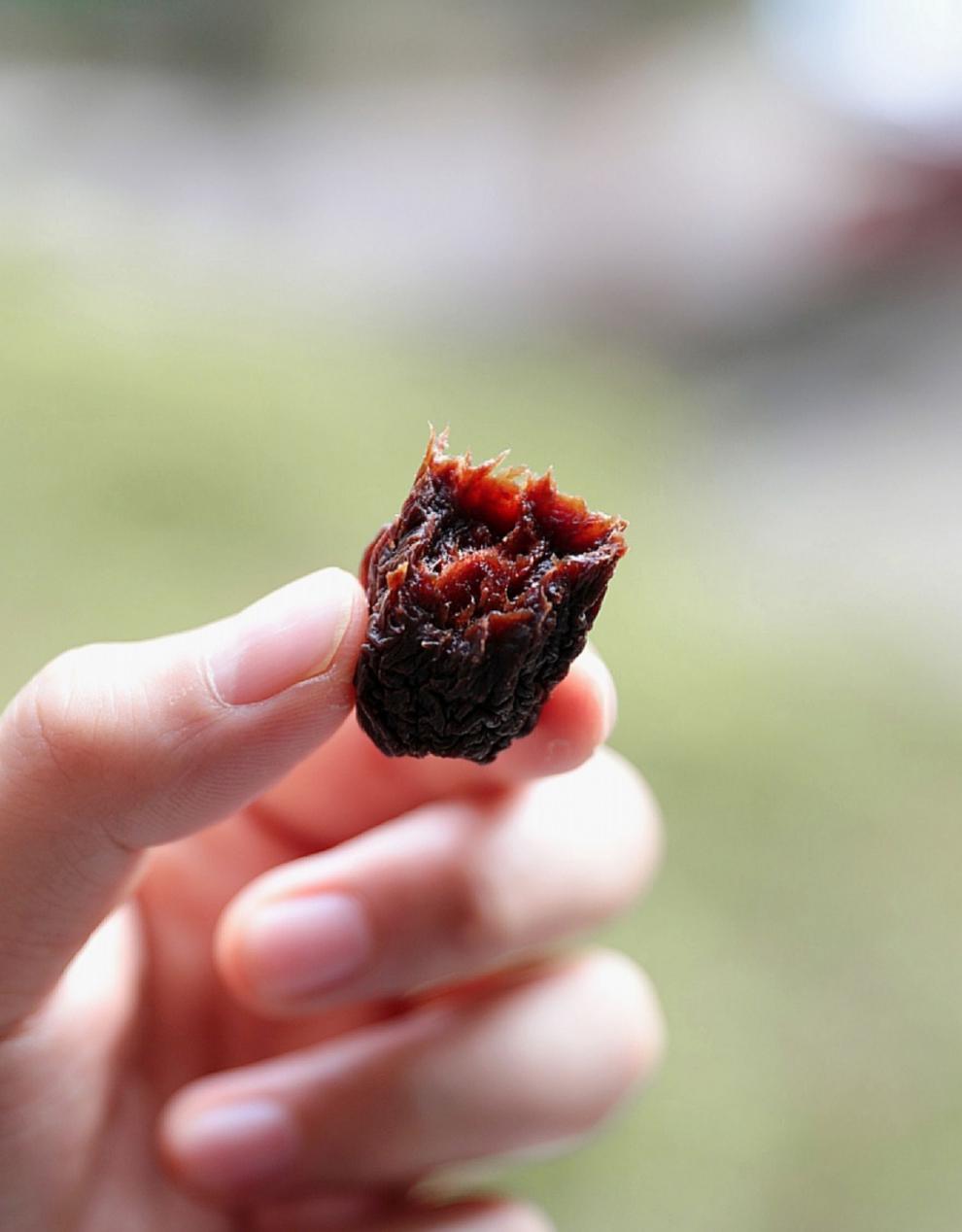 芙蓉李干 福建永泰李子干 自然晾晒 酸味零食办公室【图片 价格 品牌