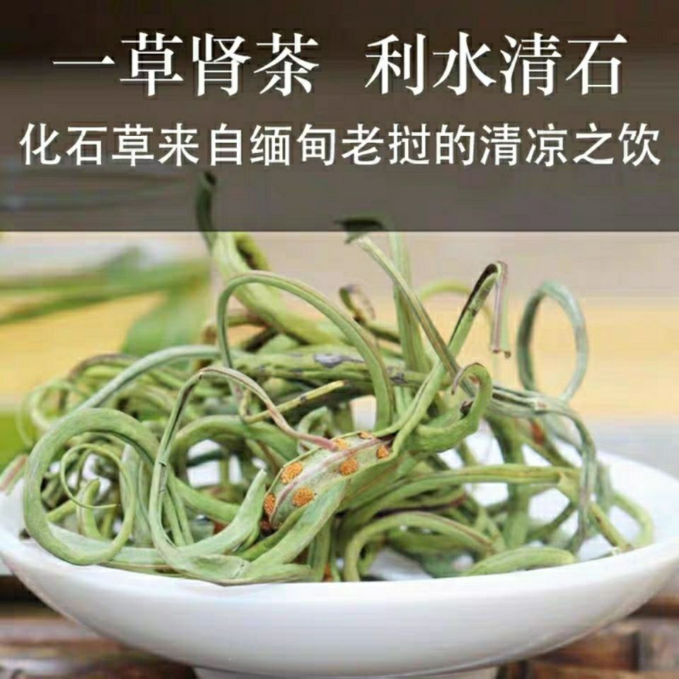 官方旗舰正宗草草茶肾精草茶猫须草产地直销金钱草中草药250克