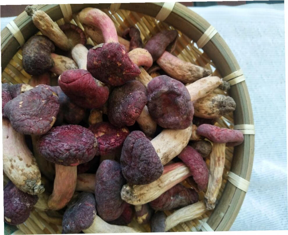 5折 新武夷山野生小红菇福建特产红椎菌干货红蘑菇小菇蕾 500g【图片