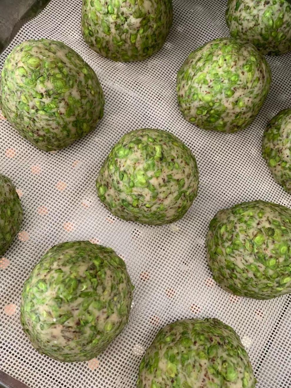 榆钱窝窝新鲜窝头榆钱子窝窝头菜坨10个野菜窝窝洋槐花窝窝头 杂面