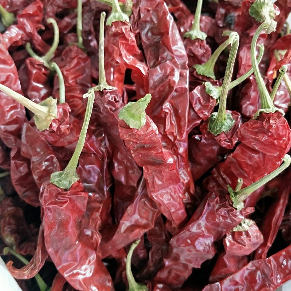 5折 东北红辣椒 250g-2500g 东北干辣椒 农家特产红干椒 农村风味