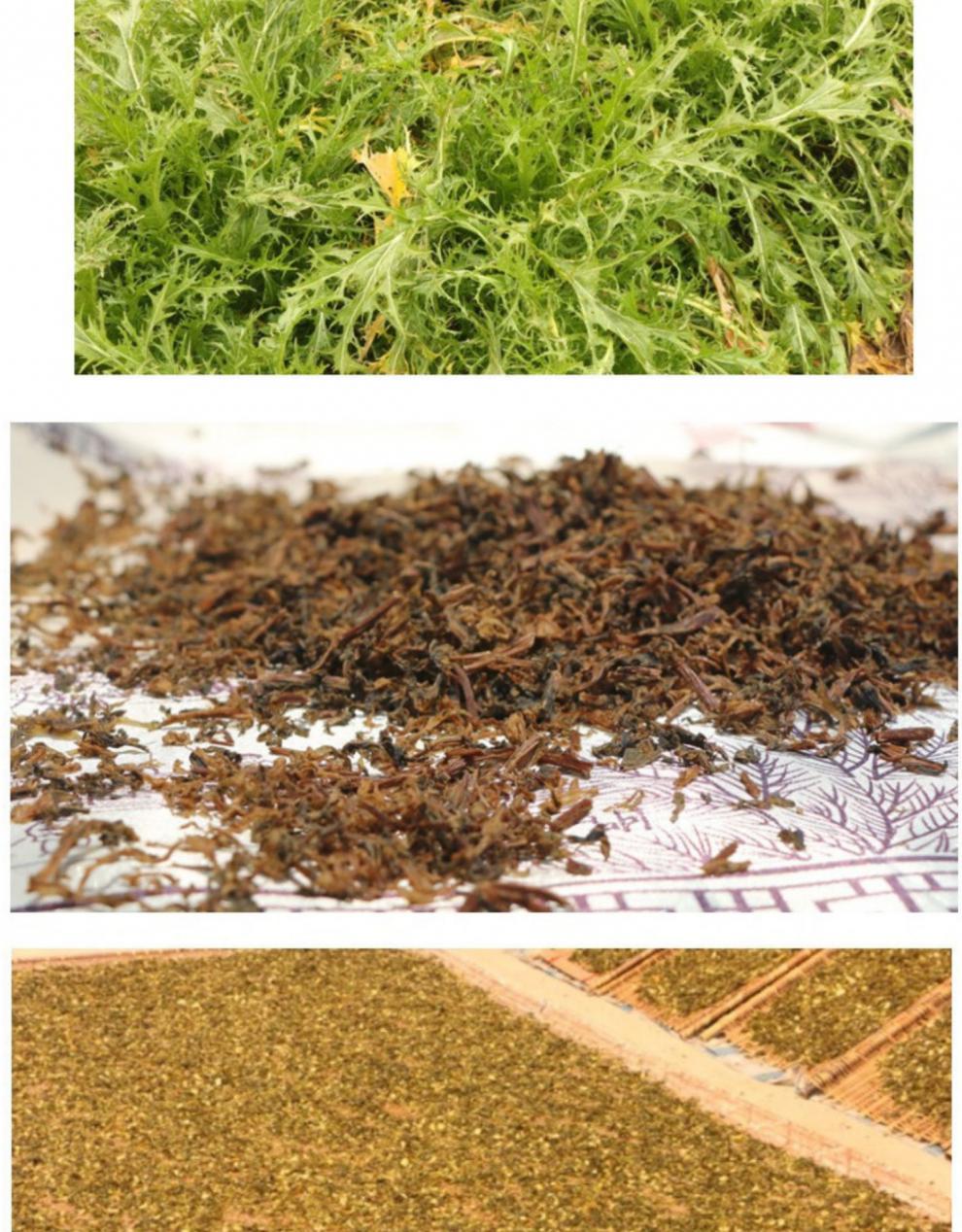 梅干菜东阳博士菜浙江金华磐安农家霉干菜扣肉咸菜干