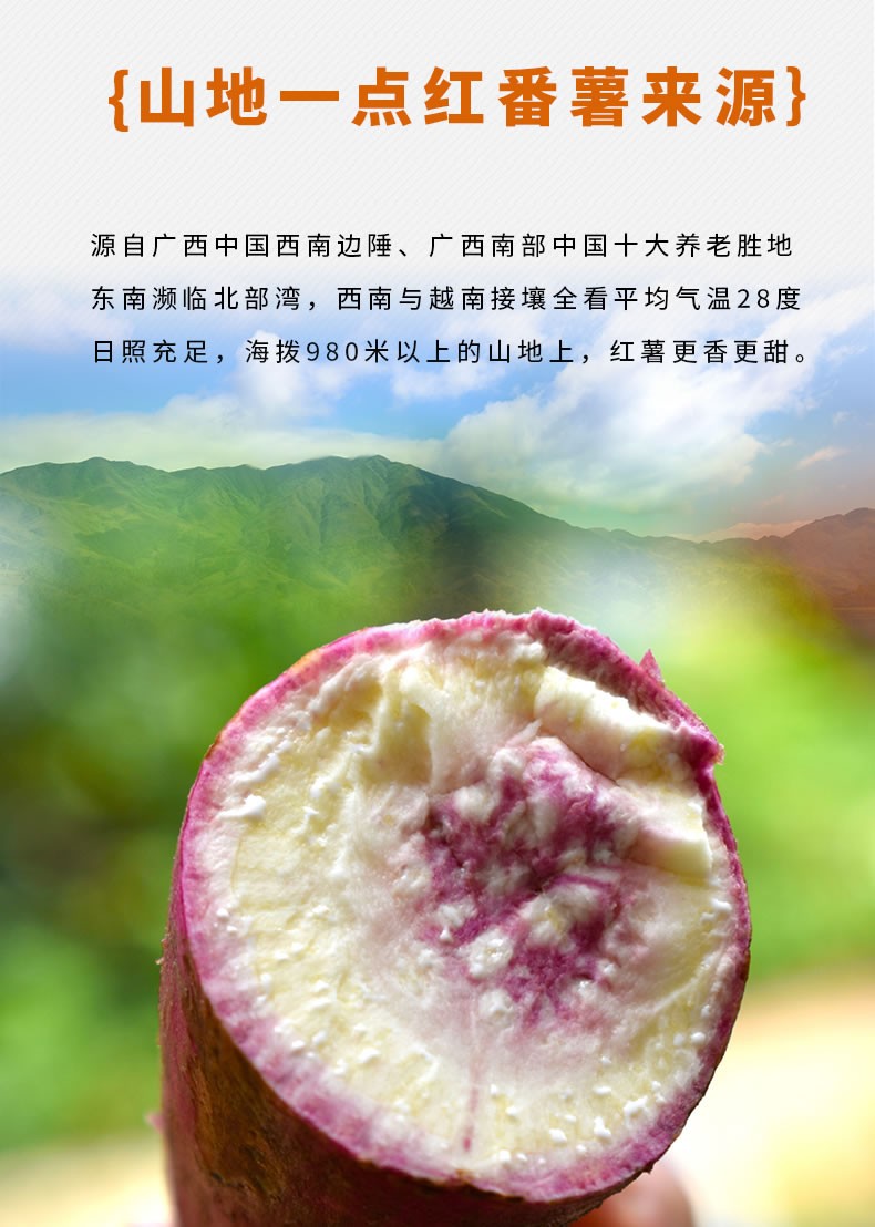 南沙一点红 冰淇淋紫心薯 5/10斤红番薯新鲜沙土山地地瓜山芋板栗红薯