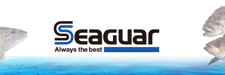 日本西格seaguarnewmono183米透明路亚线透明尼明线183m15号