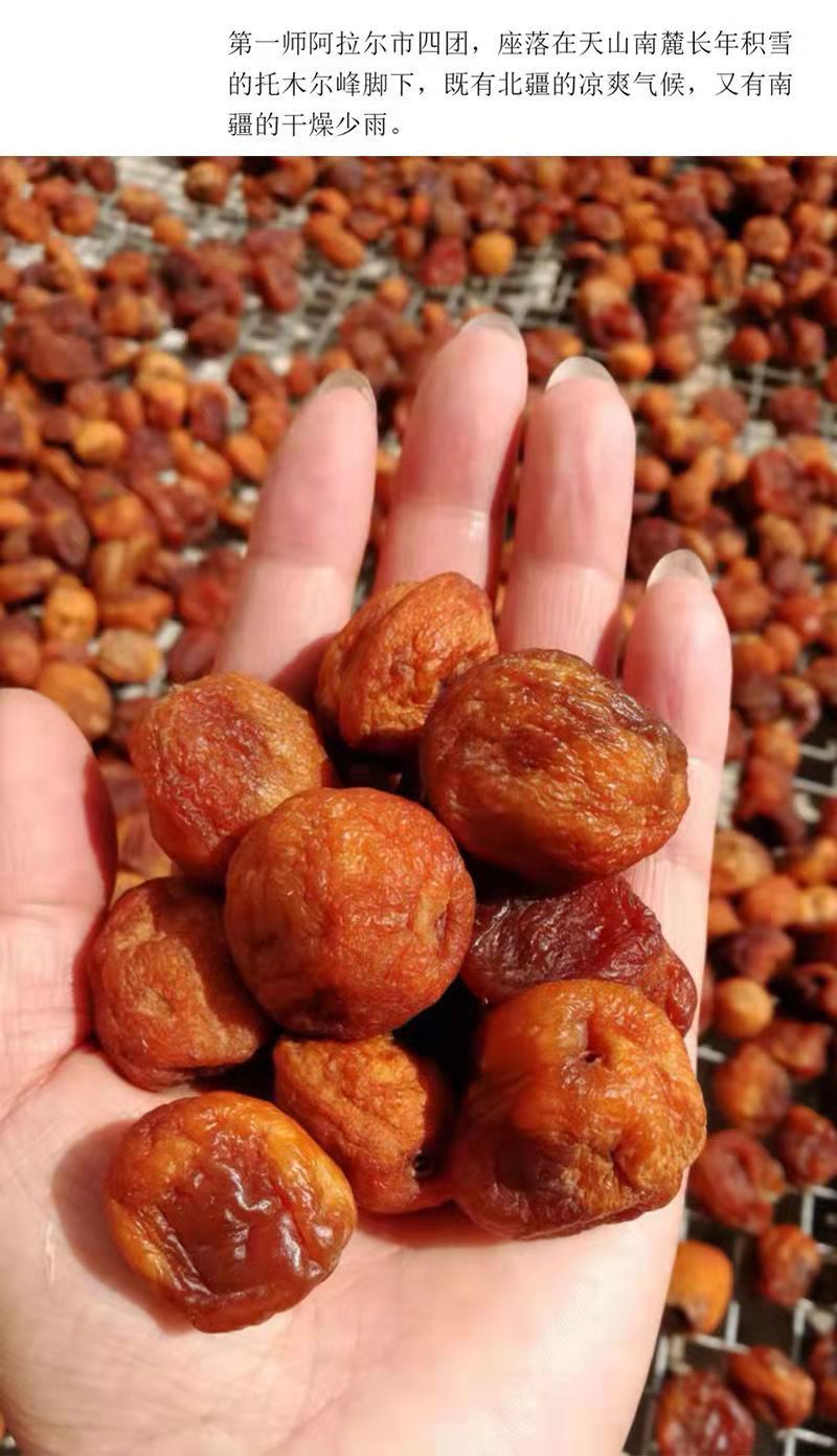 新疆特产直发四团吊干杏自然风干酸肉果脯原味孕妇零食新疆直发超划算