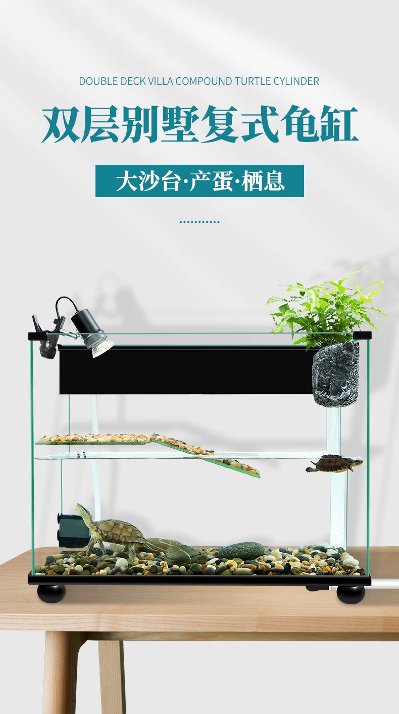 鱼龟一体鱼缸设计图图片