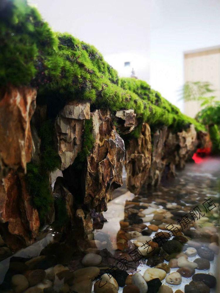 仿真绿植草皮仿真绿植墙青苔藓草皮仿真青苔草坪盆景草坪绿植场景橱窗