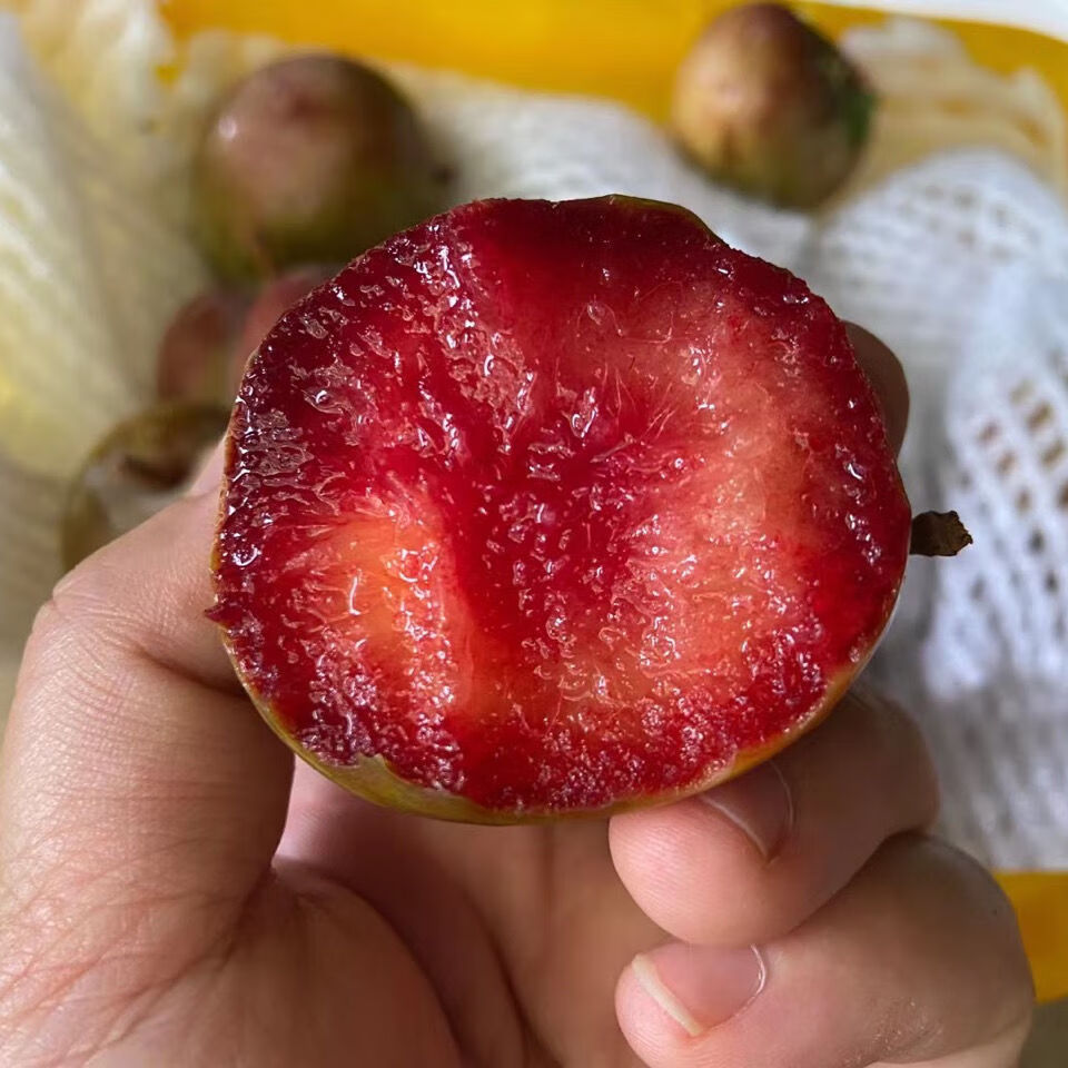 【纯甜】新疆帝味恐龙蛋大李子3斤装纯甜多汁当季孕妇水果生鲜 【纯甜