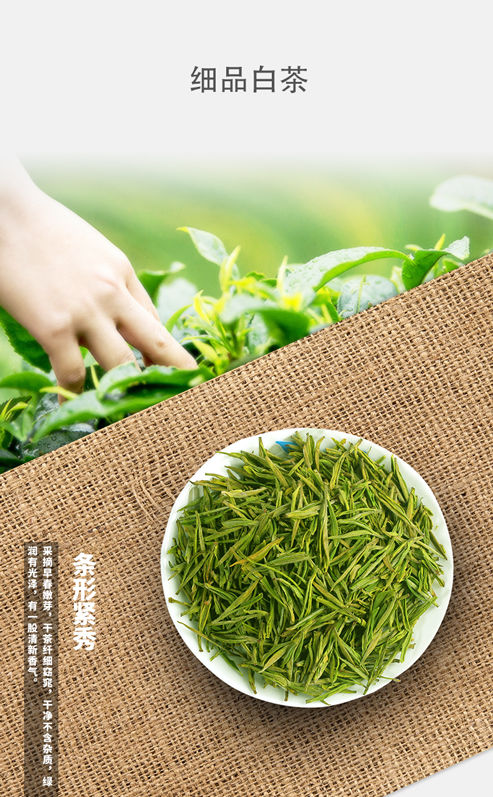 高山白茶毛尖毛峰高山白茶毛尖毛峰绿茶雨前明前多规格250g袋装高山