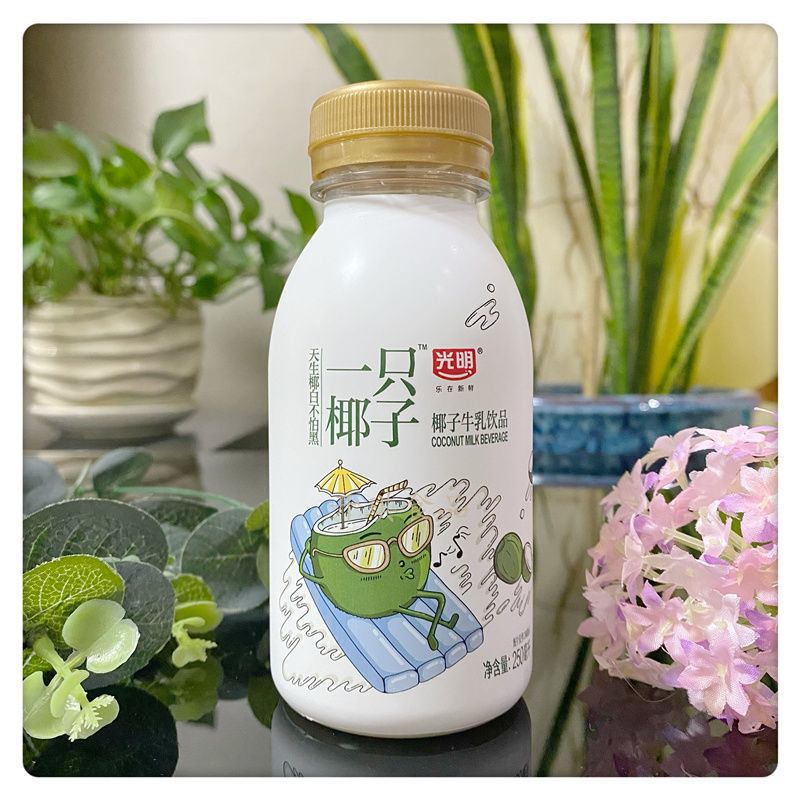 顺丰发货光明牛奶一只椰子巧克努力荔志桃桃牛乳饮品250ml荔志桃桃12