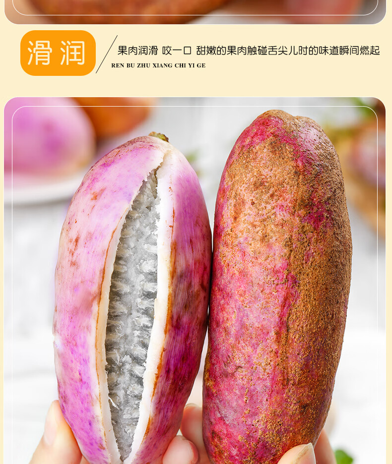 顺丰现货 八月瓜新鲜水果 现摘九月黄8八月炸野果野蕉生鲜稀有罕见 当