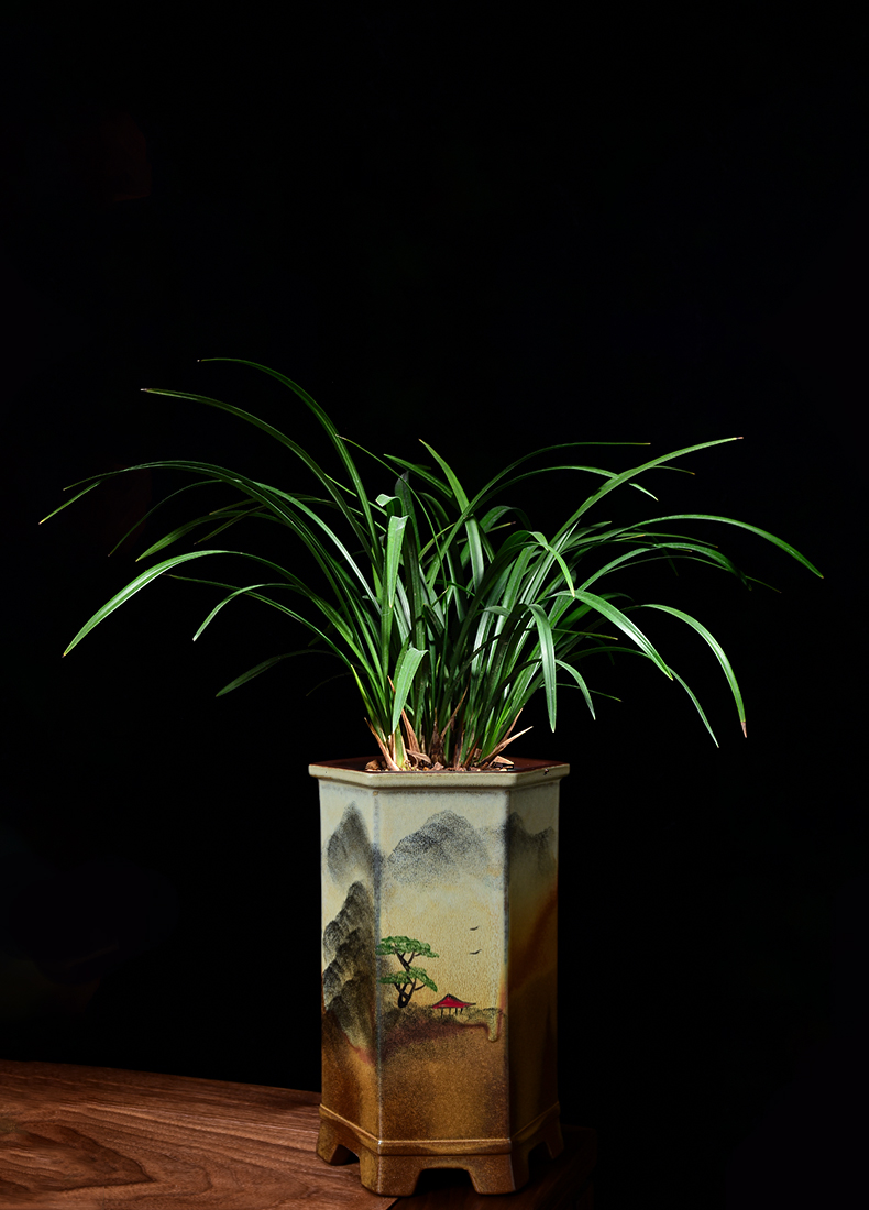 尘菁中国风复古手绘山水陶瓷紫砂花盆兰花君子兰特大号悬崖老桩高款兰