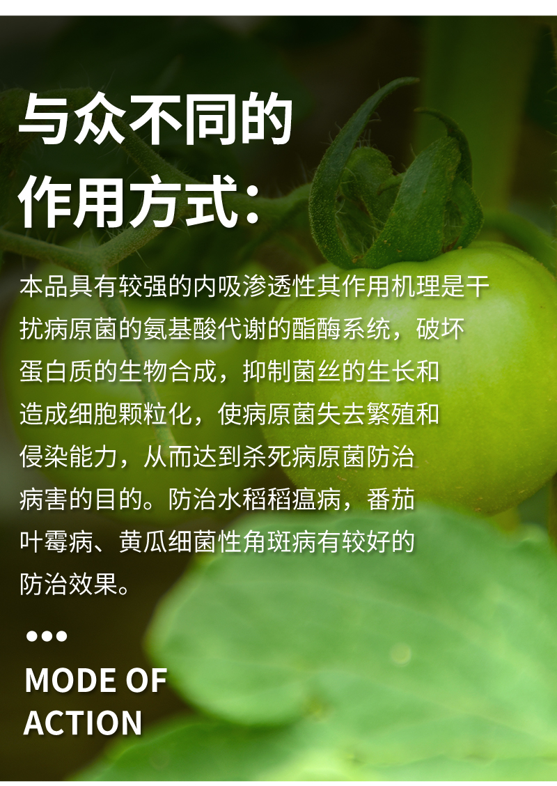 日本北兴2加收米春雷霉素番茄叶霉病角斑病水稻瘟病农药剂250ml