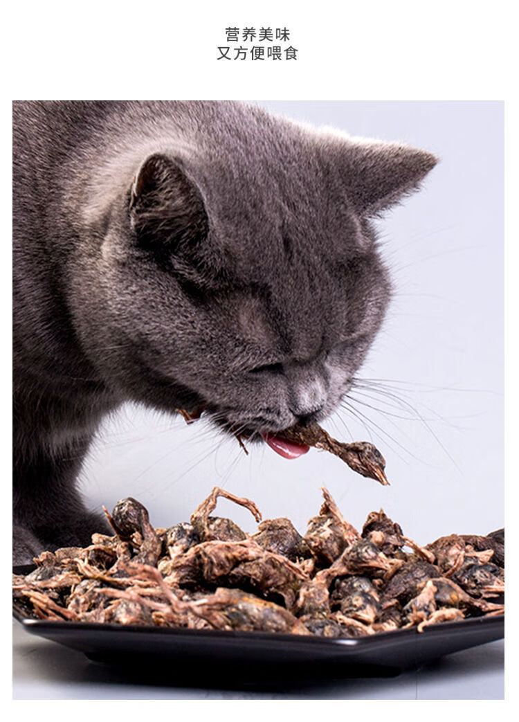新品小猫咪磨牙棒宠物猫零食冻干鹌鹑成猫幼猫营养增肥纯肉干补钙小型