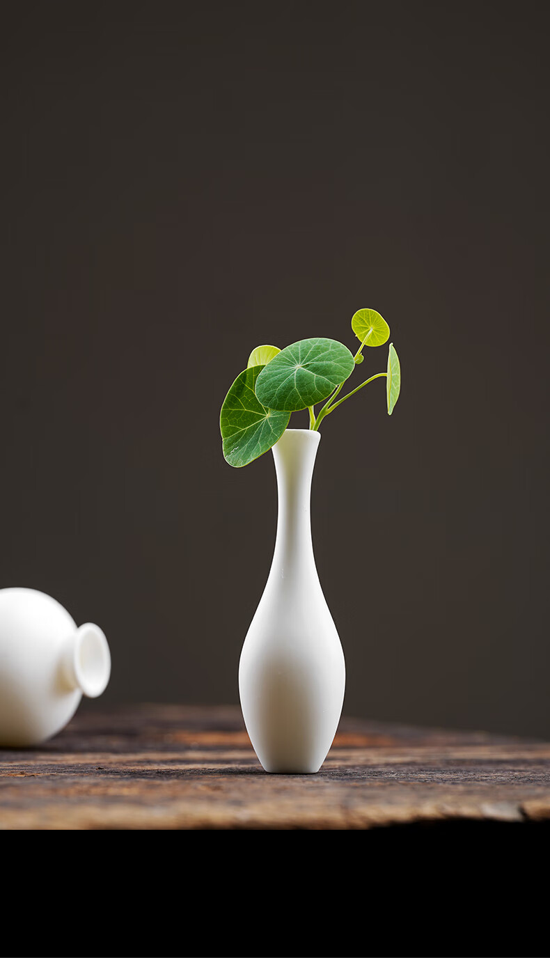 迷你花瓶小瓷瓶新中式白瓷小花器 陶瓷花瓶禅意绿萝铜钱草花插白色水