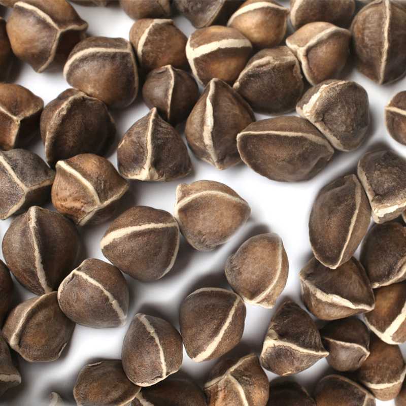 野生辣木籽印度袋装食用进口特级500g正宗中果的功效