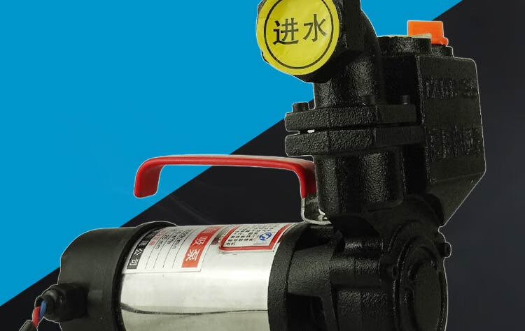 上海人民直流水泵家用农用自吸泵抽水机12v24v48v60v船用 24v 320w 18